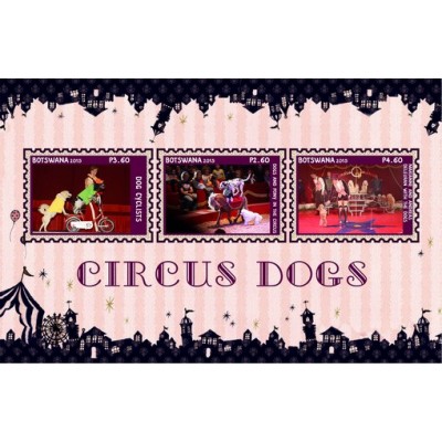Цирковые собаки